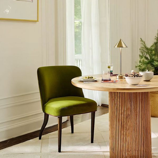 Hasthshilpa Meryl Performance Velvet Dining Chair